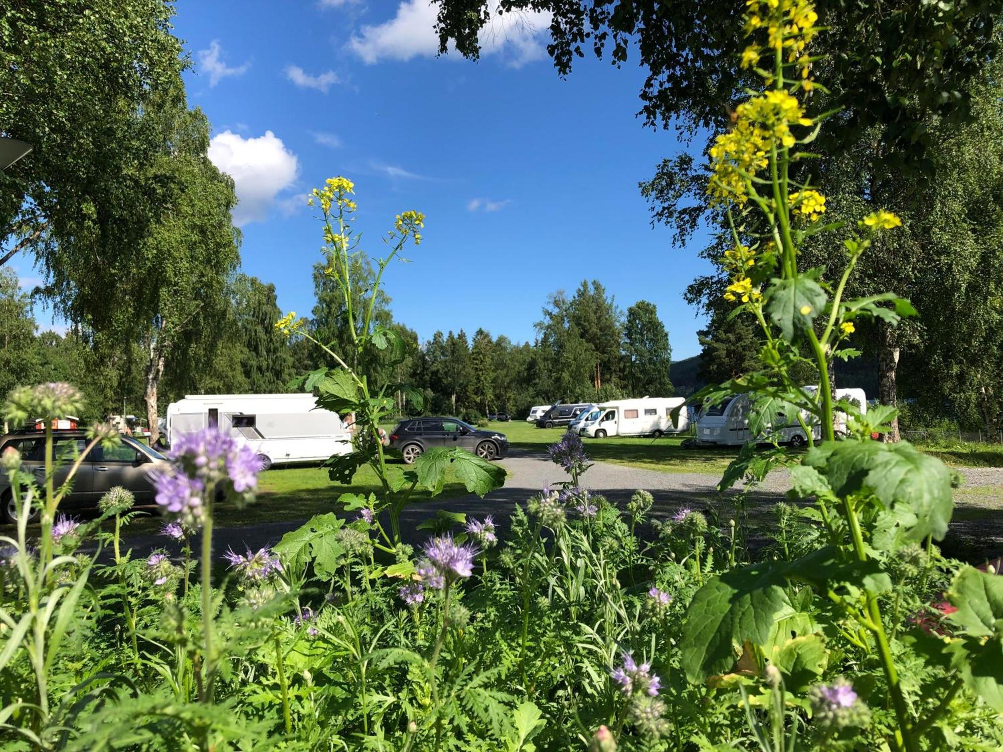 4 Persoons Stuga Hammarstrand Екстериор снимка