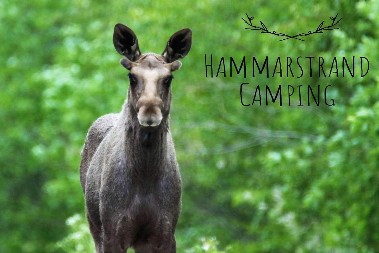 4 Persoons Stuga Hammarstrand Екстериор снимка